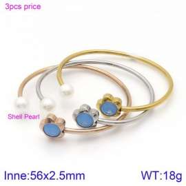 Stainless Steel Stone Bangle