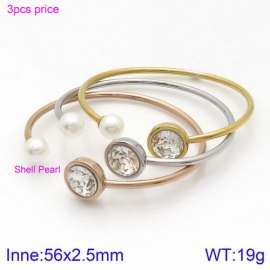 Stainless Steel Stone Bangle