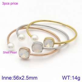 Stainless Steel Stone Bangle