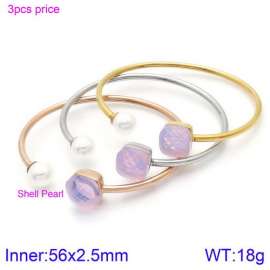 Stainless Steel Stone Bangle