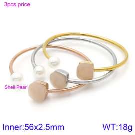 Stainless Steel Stone Bangle