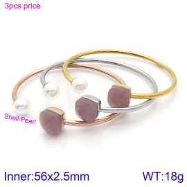 Stainless Steel Stone Bangle