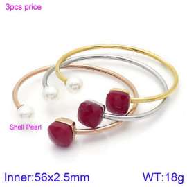 Stainless Steel Stone Bangle