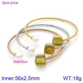 Stainless Steel Stone Bangle