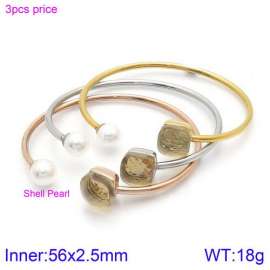 Stainless Steel Stone Bangle