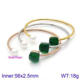 Stainless Steel Stone Bangle